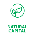 Natural Capital